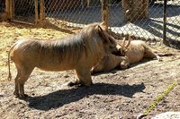 tn_image_01.jpg 12 KB