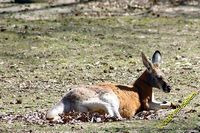 tn_image_04.jpg 12.1 KB