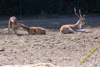 tn_image_08.jpg 9.7 KB