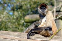 tn_image_51.jpg 9.1 KB